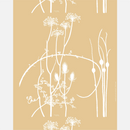 Vuorenkasvit Leinenstoff Beige/Weiss